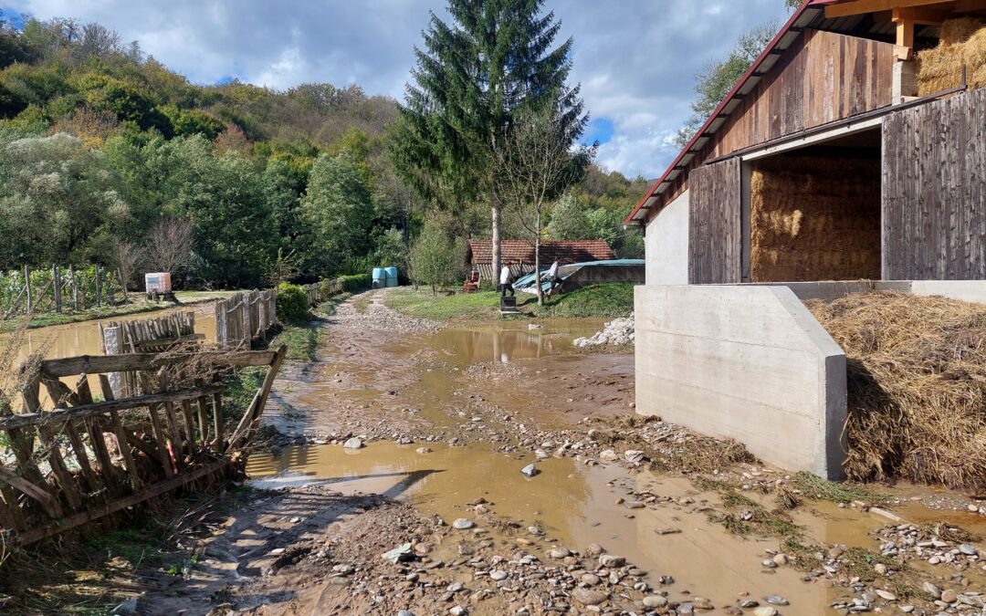 Dankbarer Rückblick – Hoffnungsvoller Start